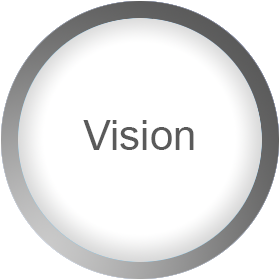 Vision